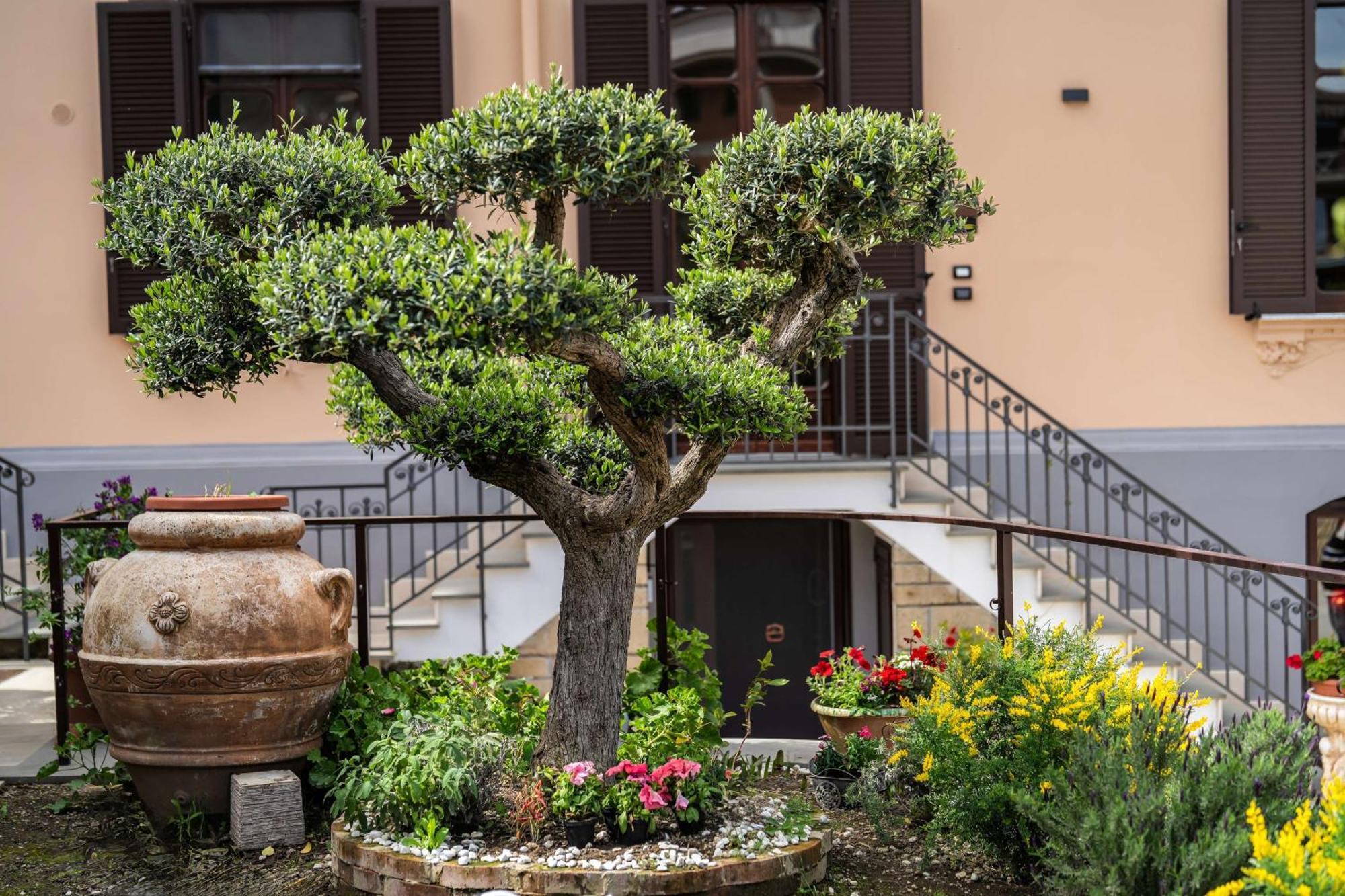 فيكو إيكوينس Villa Agostino Luxury B&B المظهر الخارجي الصورة
